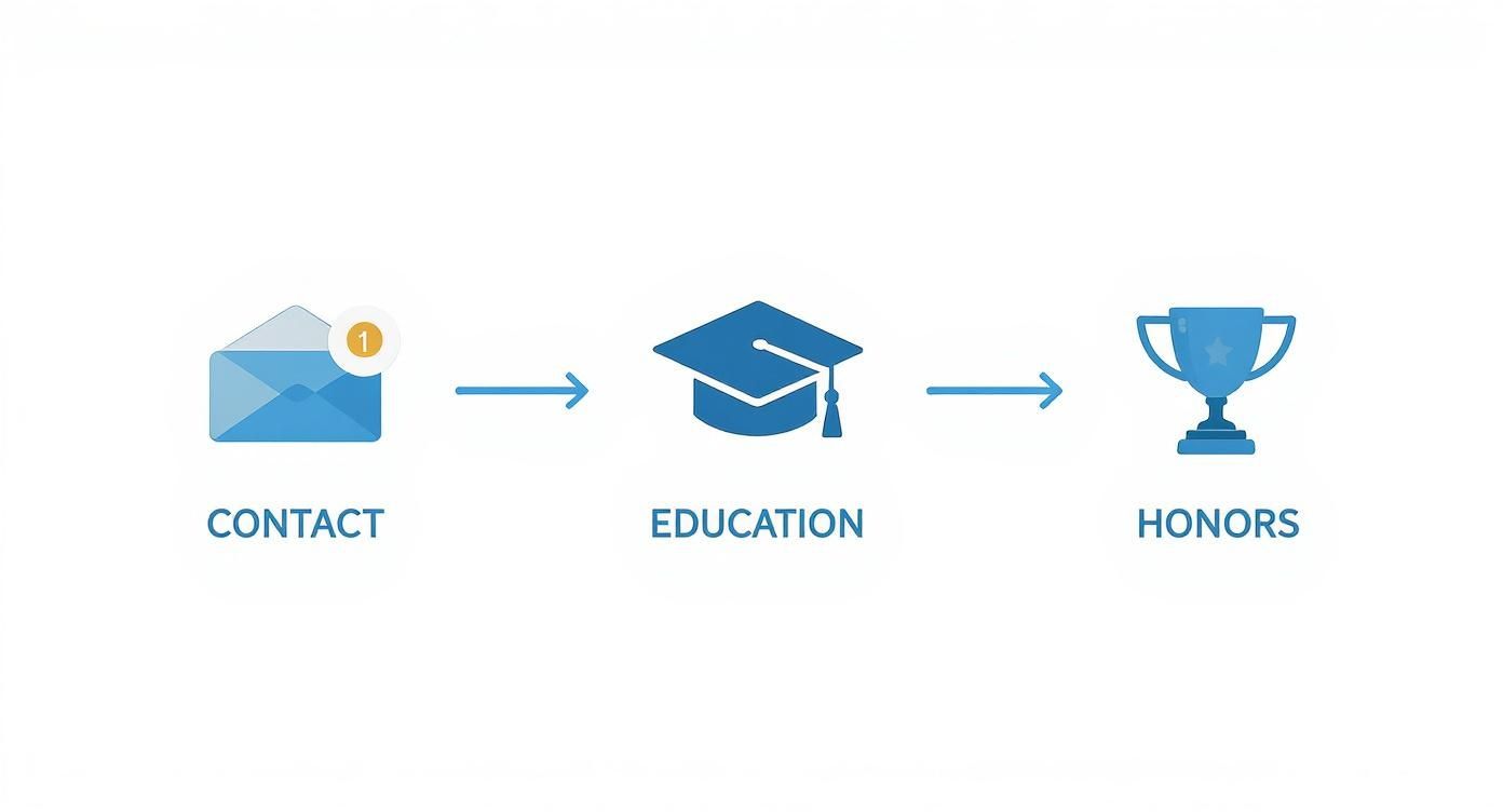 Infographic showing the flow of a CV first impression, from contact information to education and honors.
