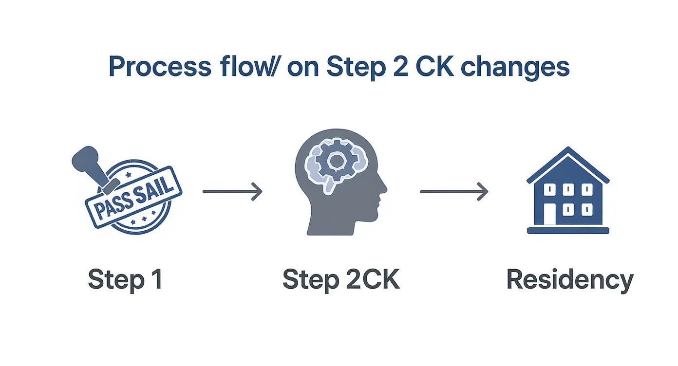 Process flow showing USMLE Step 1 pass/fail to Step 2 CK, then to medical residency.