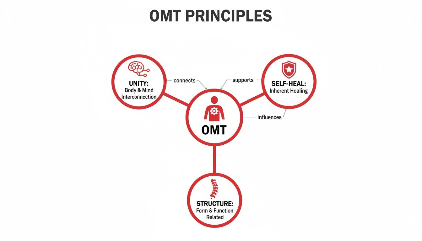 Diagram illustrating OMT principles: body-mind unity, inherent self-healing, and structure-function relationship.