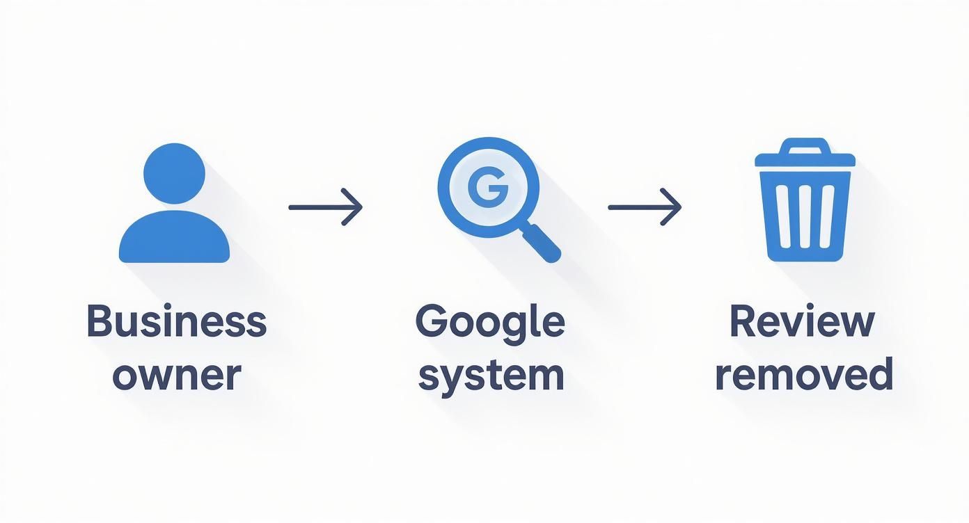 Infographic illustrating the steps for a business owner to have a Google review removed by the Google system.