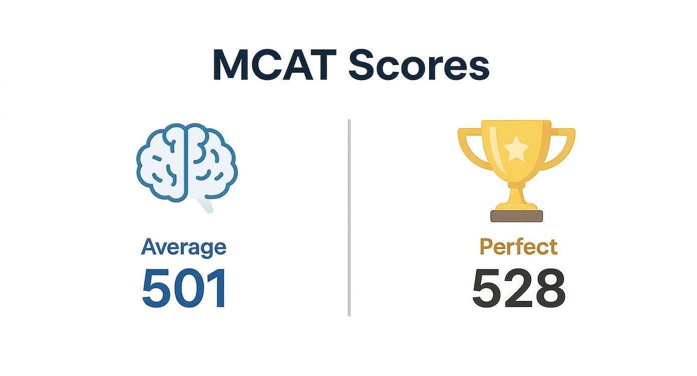 Infographic about what is a perfect mcat score