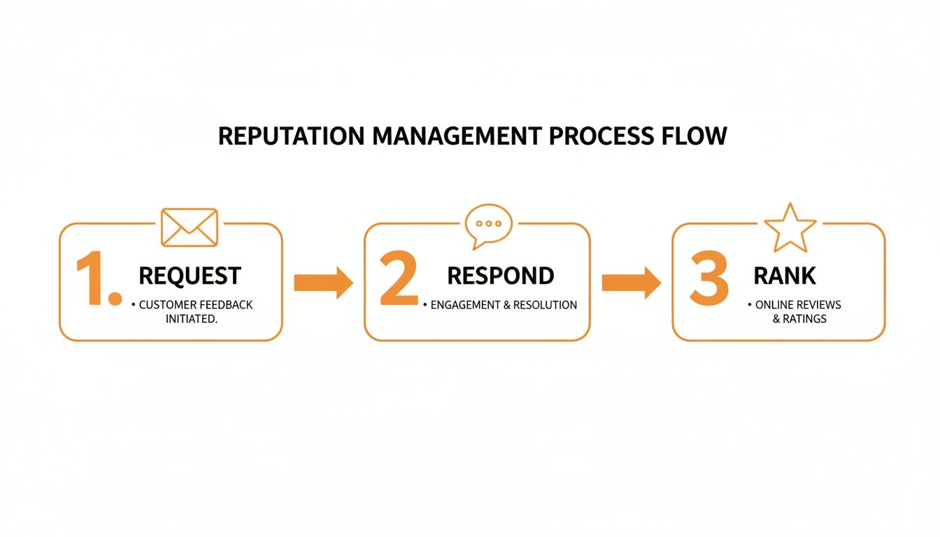 A three-step reputation management process flow: Request, Respond, and Rank.