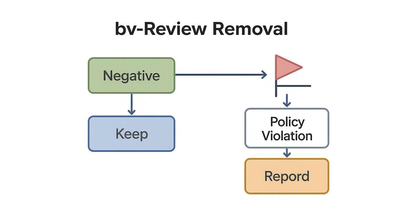 Infographic decision tree explaining when a Google review can be removed versus when it should just be responded to.