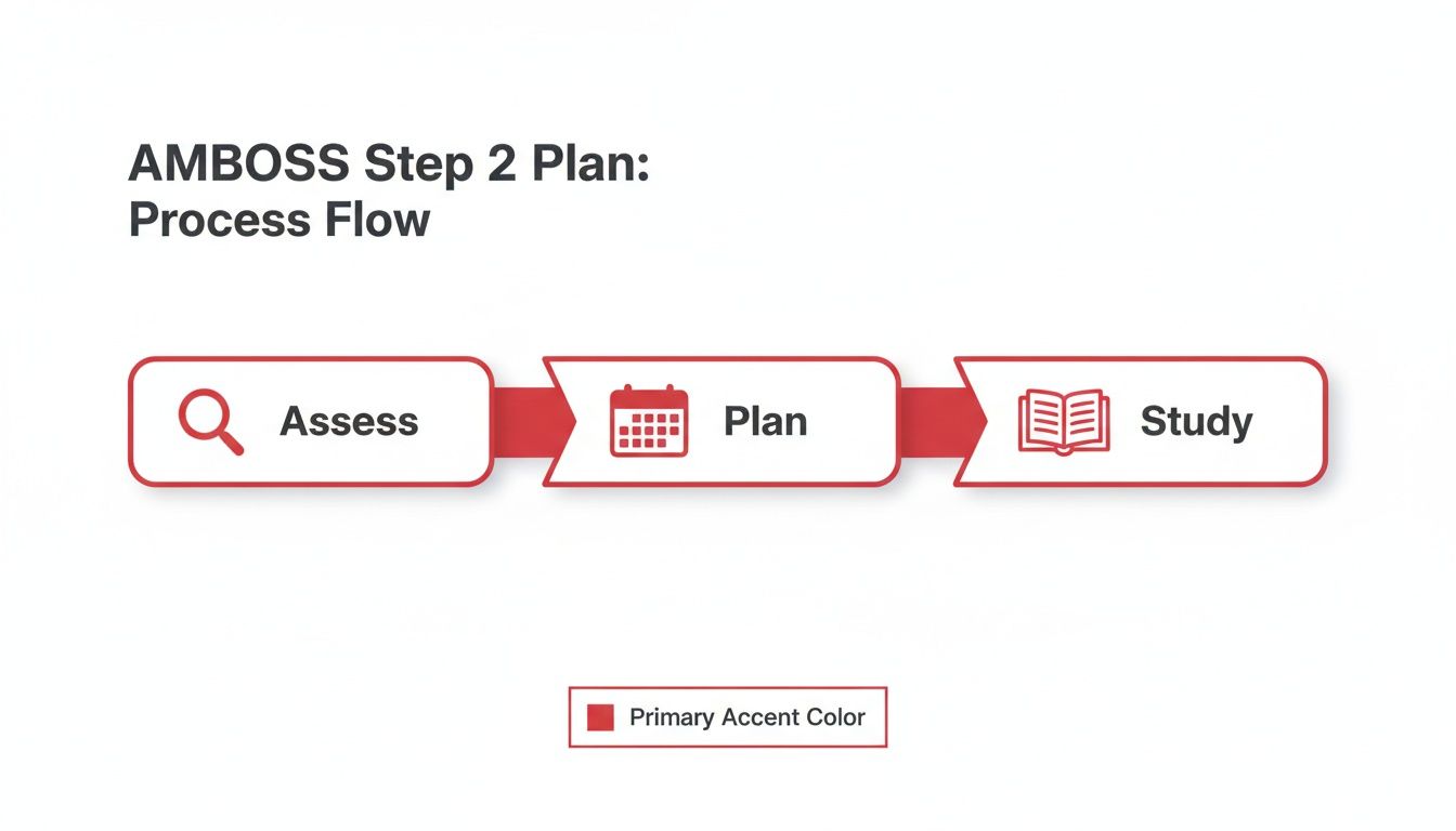 AMBOSS Step 2 Plan process flow diagram showing Assess, Plan, and Study steps with icons.