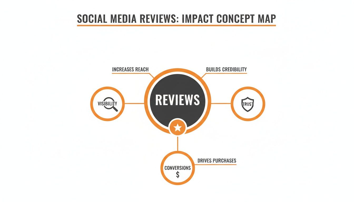 A concept map illustrating the positive impact of social media reviews on visibility, trust, and conversions.