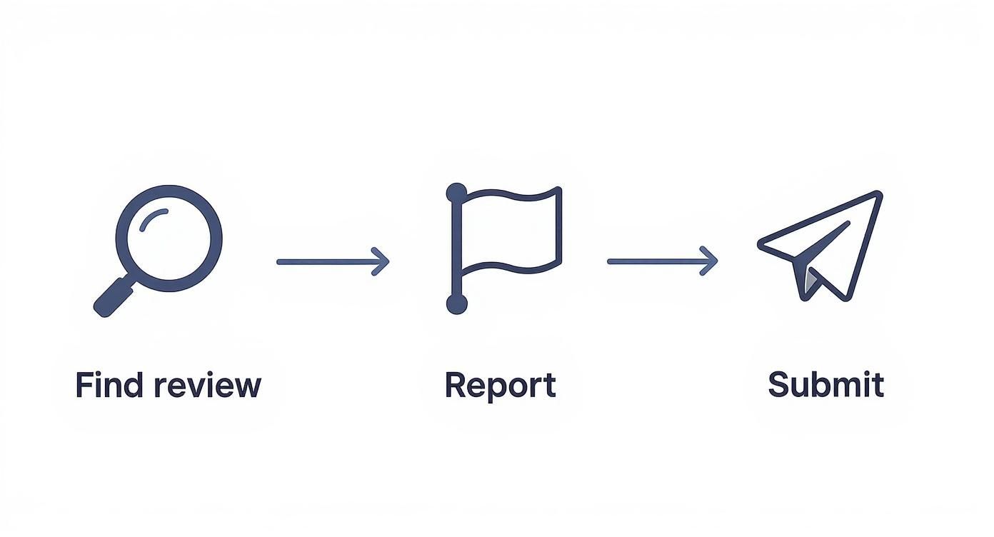 A three-step process with icons and text: Find review (magnifying glass), Report (flag), Submit (paper airplane).