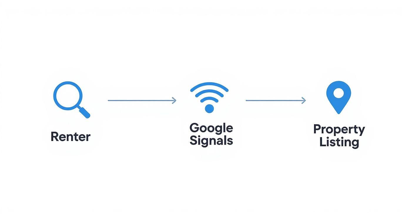 A process flow infographic showing a renter searching, Google evaluating local signals, and the renter finding a property listing.