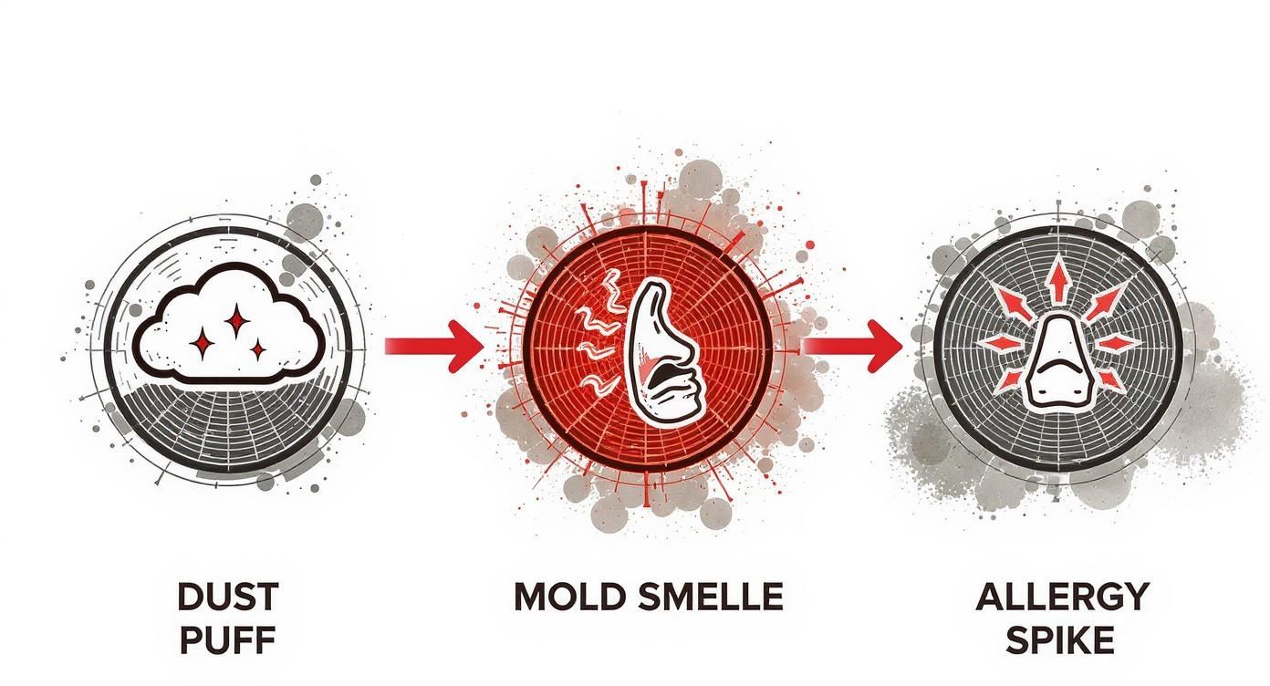 Diagram showing progression from dust puff to mold spores triggering allergy spike in nasal passages