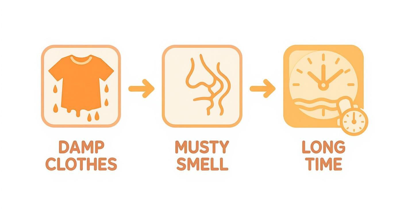 An infographic showing the progression from damp clothes to a musty smell over a long time.