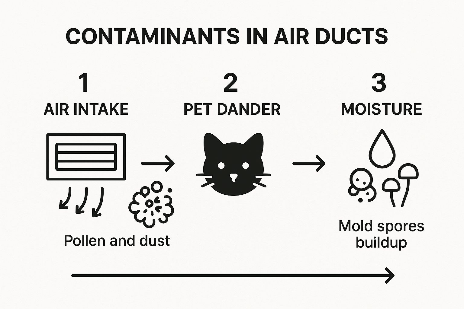infographic really shows how all these different contaminants can layer on top of each other over time