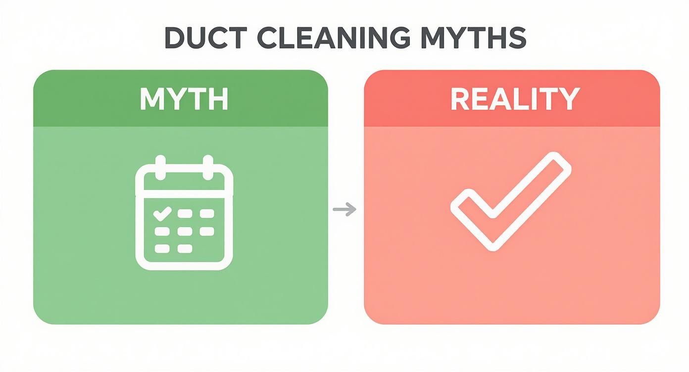 Infographic about air duct cleaning worth it