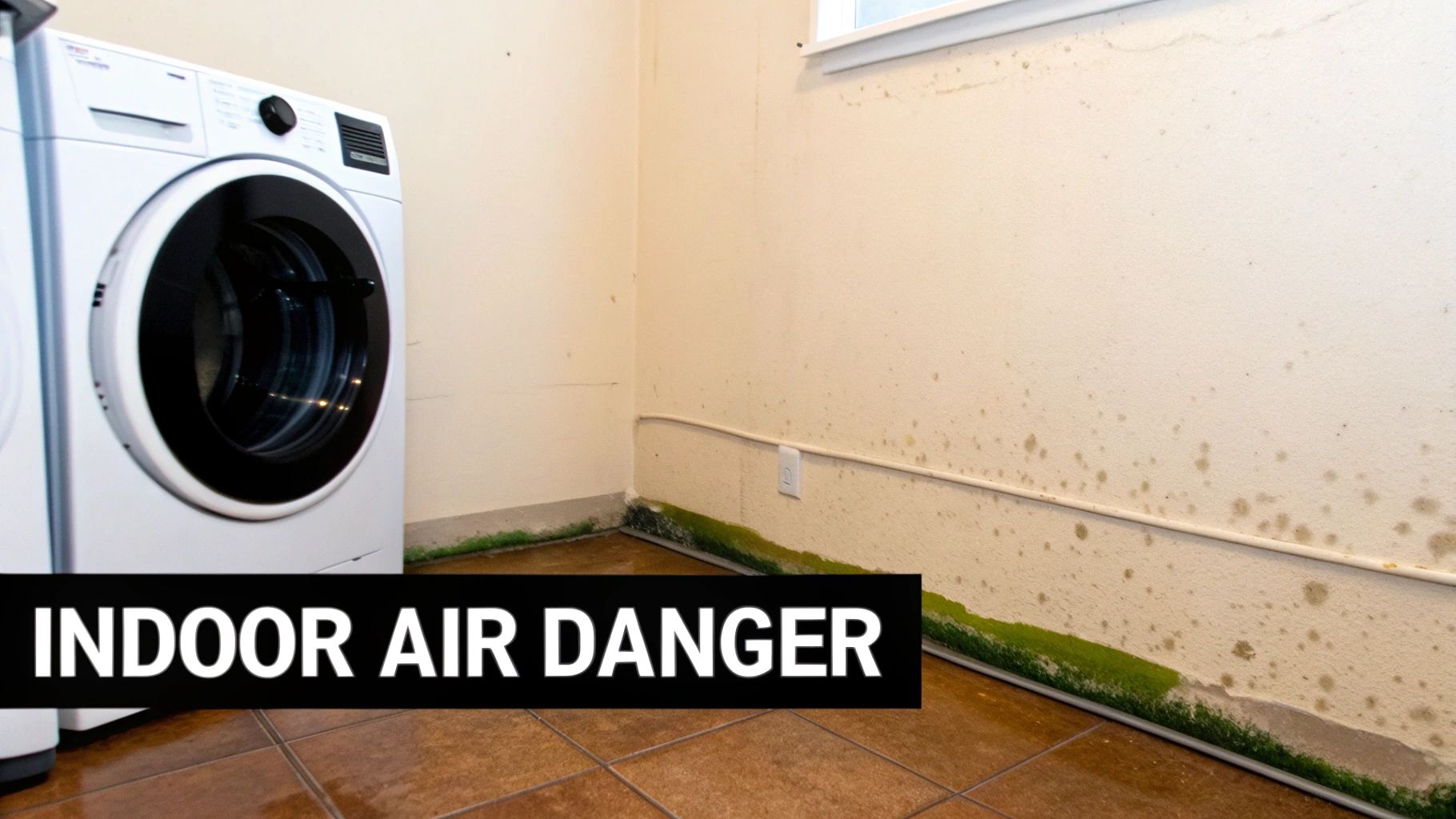 Severe green mold and water damage on walls in a laundry room, indicating indoor air danger.