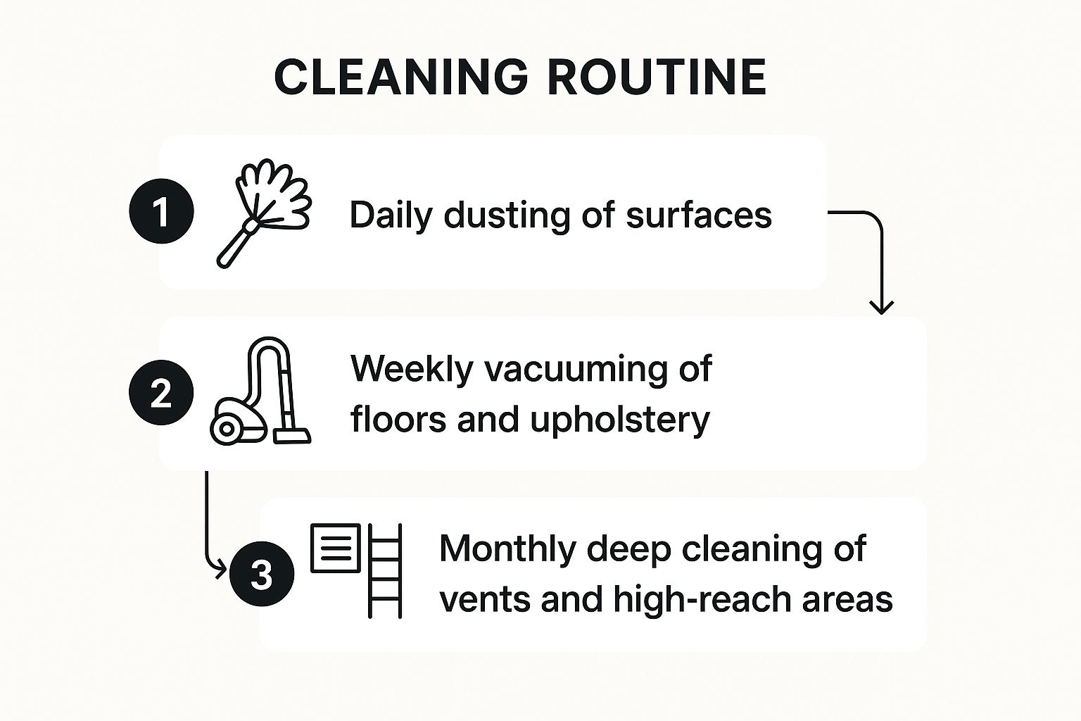cleaning routine infographic