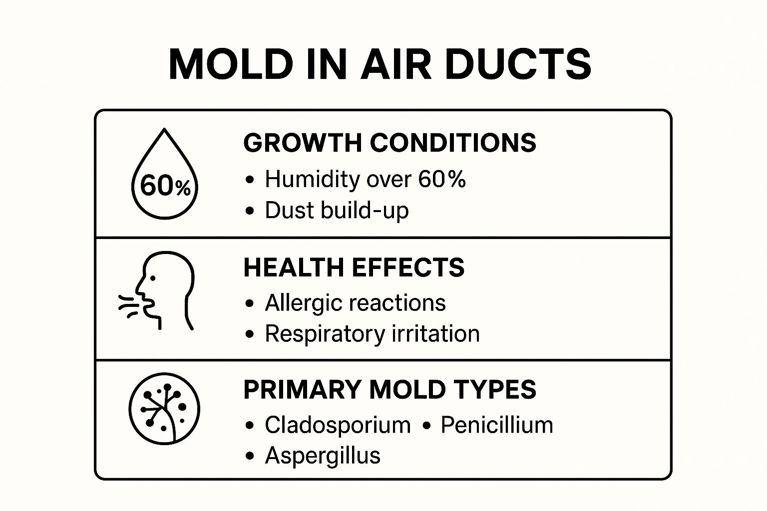 Air Duct Mold Infographic