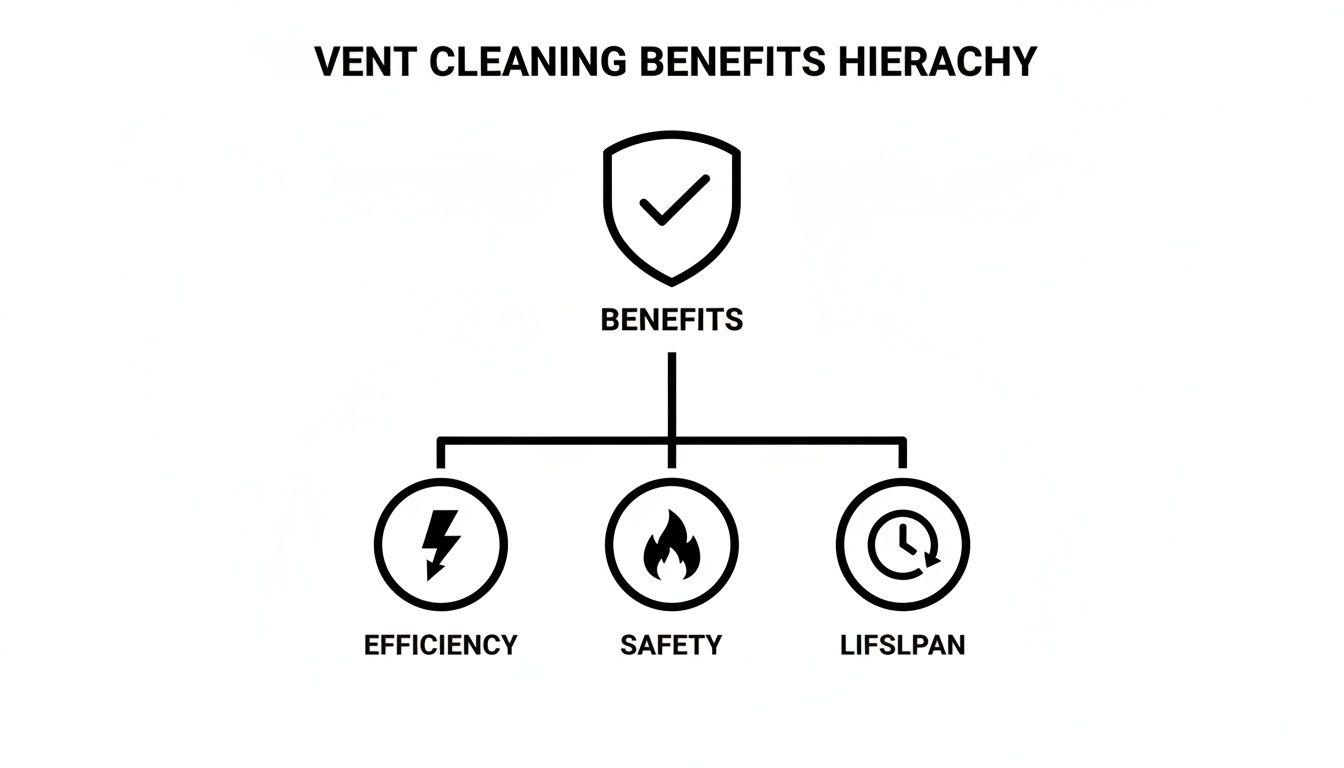 Infographic about cost to clean dryer vent