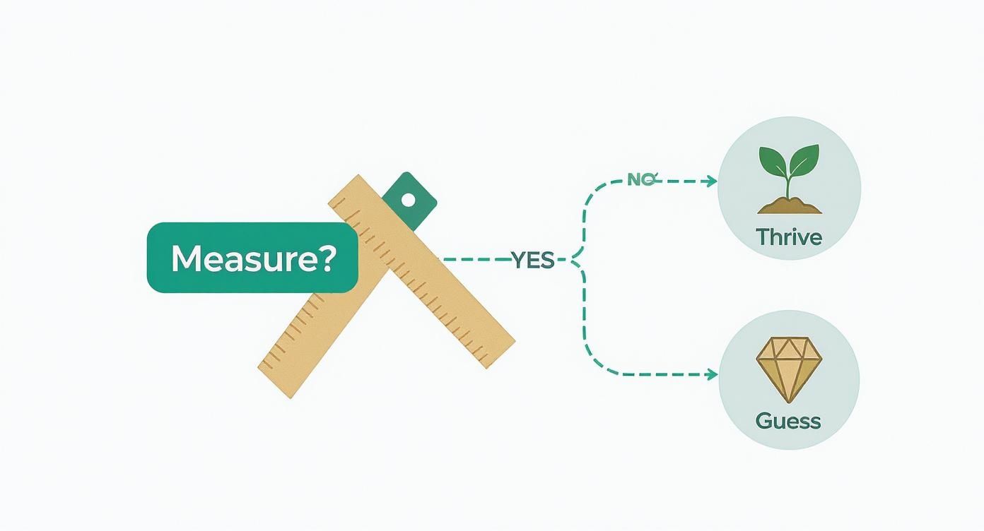 Infographic about how to measure company culture