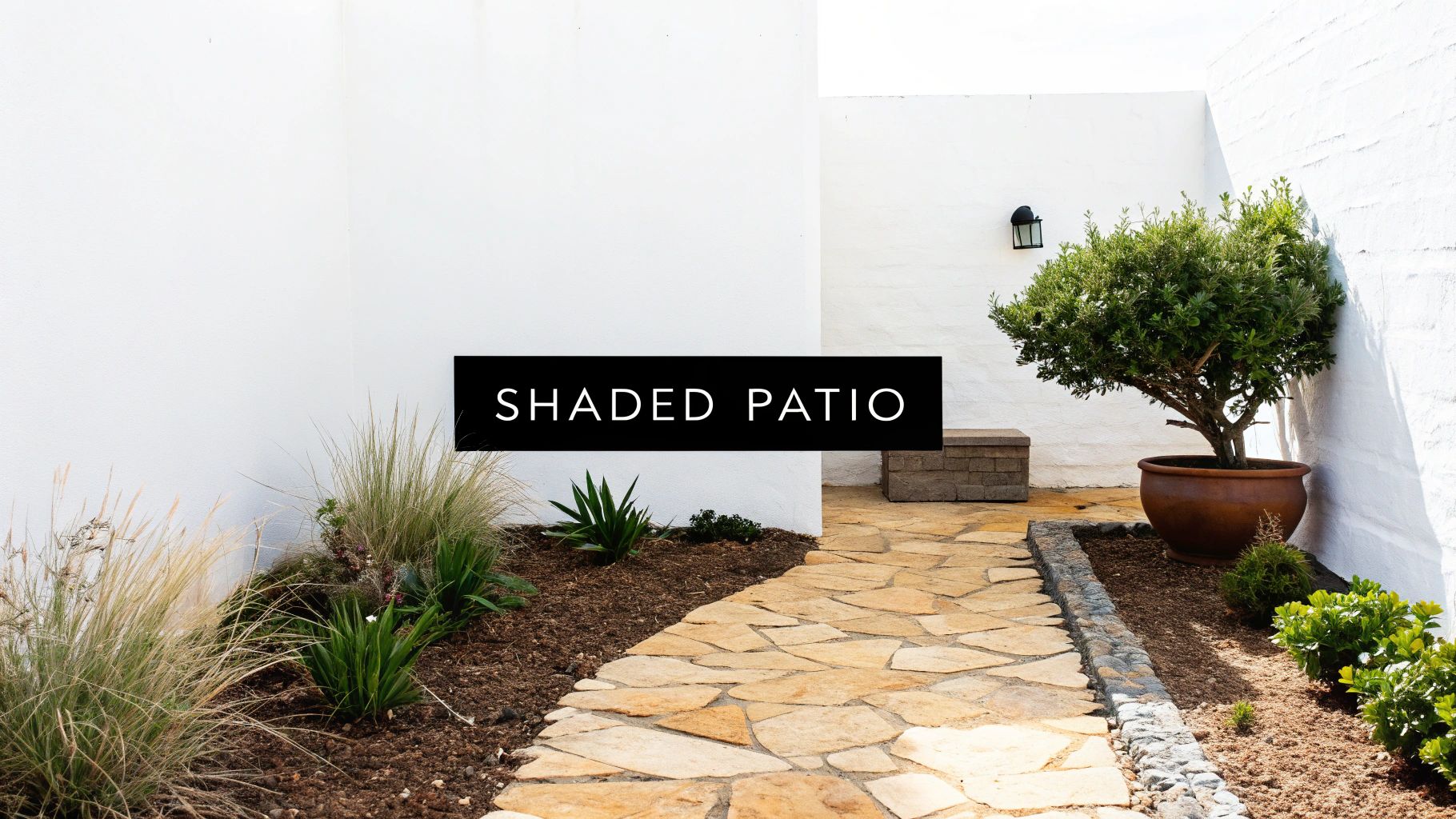 A serene shaded patio with a flagstone path, lush green plants, and white stucco walls.