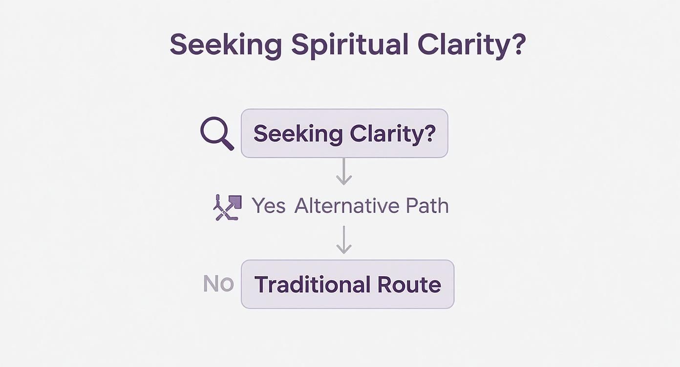 Flowchart showing spiritual clarity decision path with alternative and traditional route options