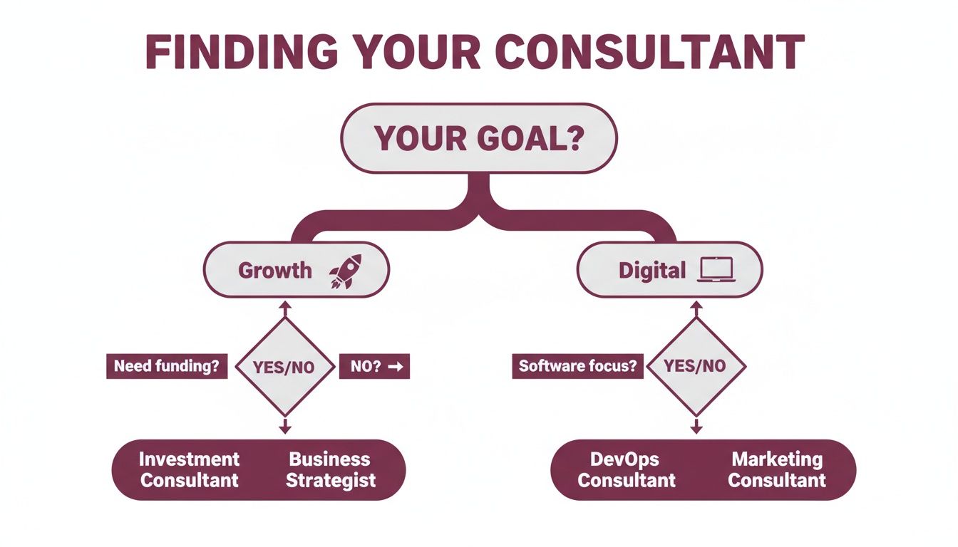 Flowchart outlining steps to find the right business consultant based on growth or digital goals.