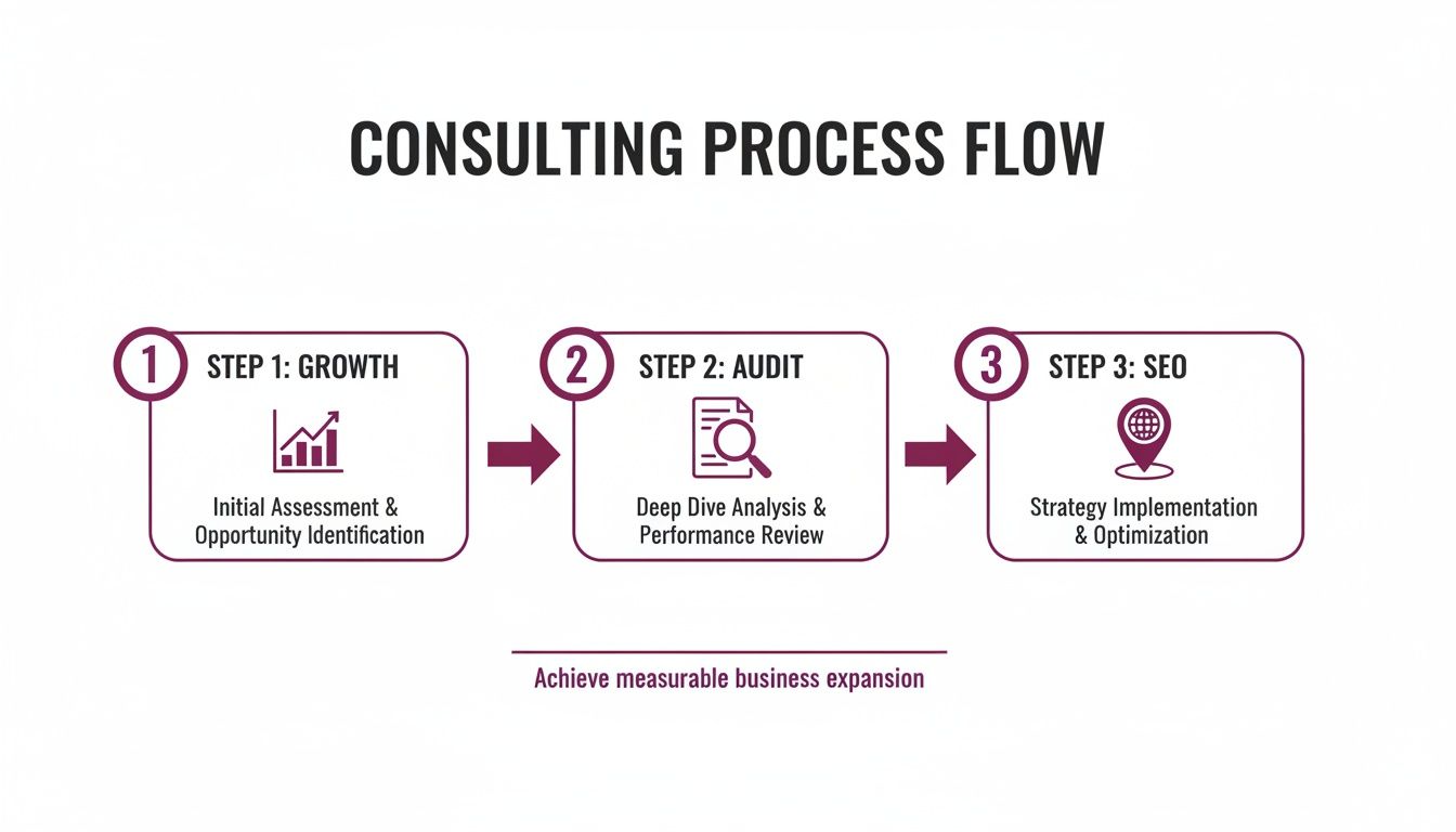 A consulting process flow diagram showing three steps: Growth, Audit, and SEO for business expansion.