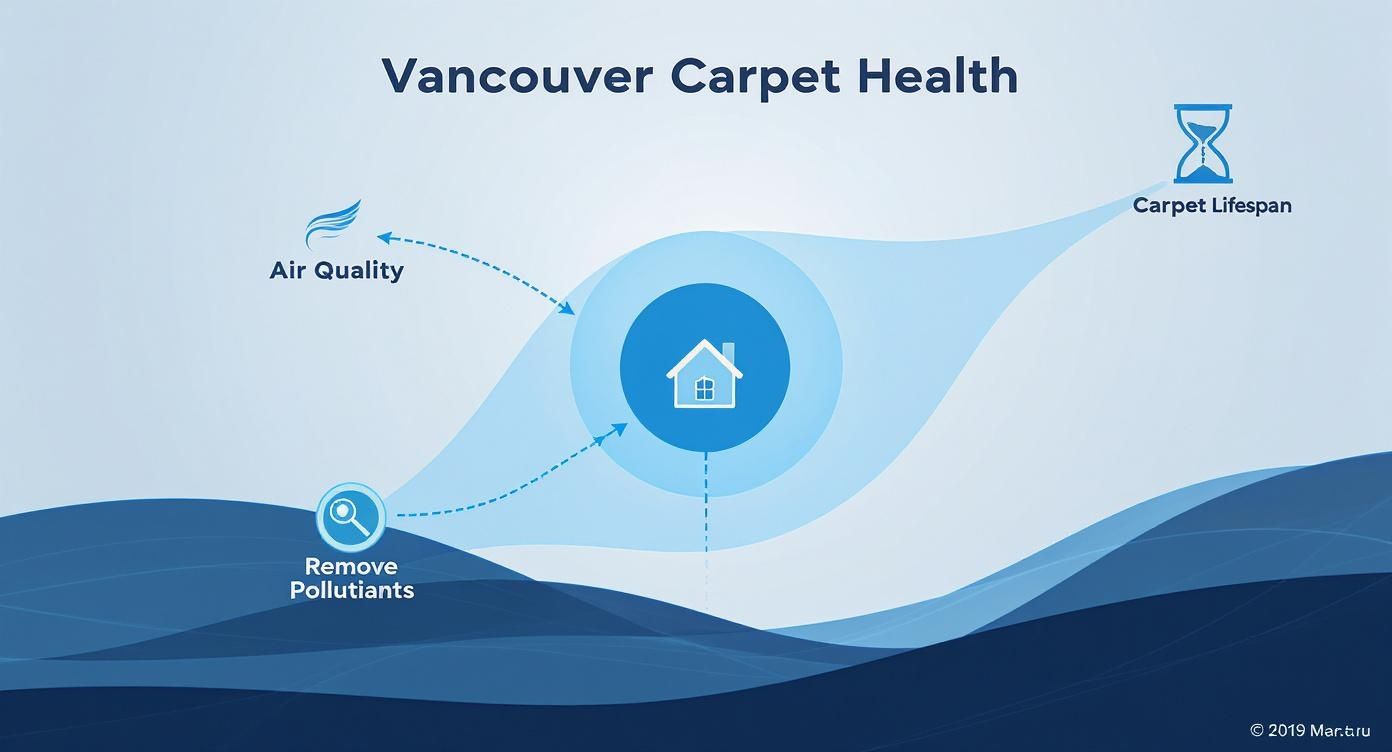 Infographic showing how air quality and pollutant removal impact carpet health and lifespan in a Vancouver home.