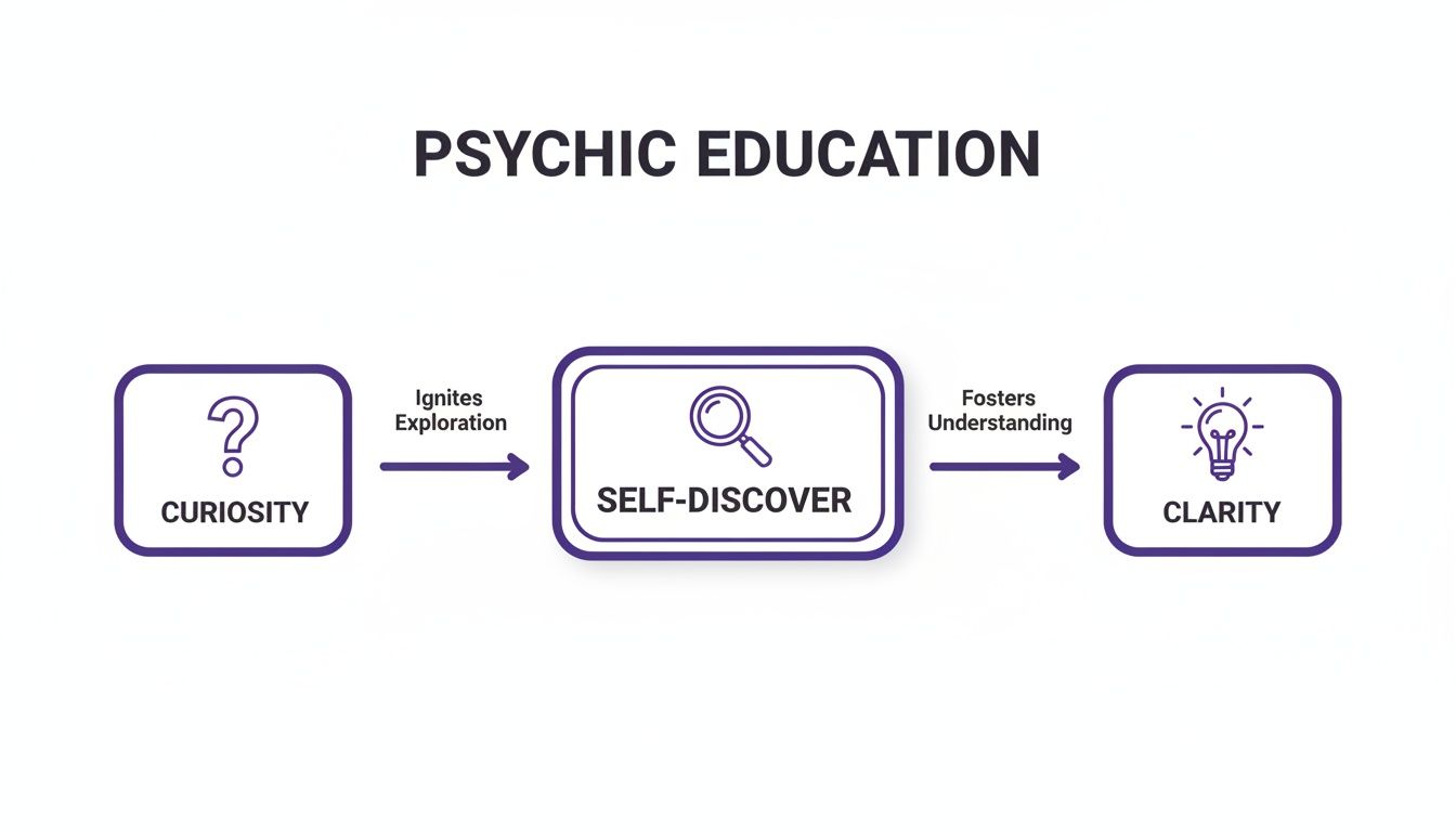 Diagram showing the psychic education process: curiosity ignites exploration, leading to self-discovery and clarity.