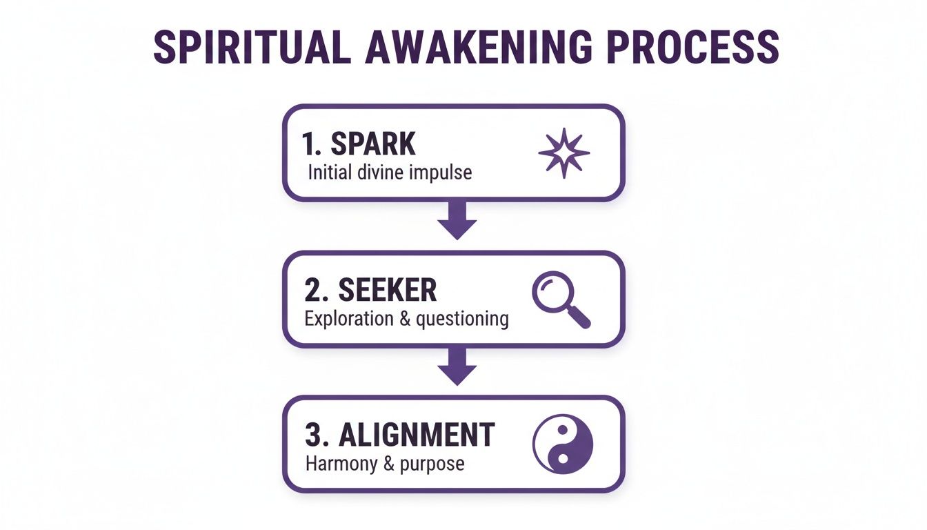 A flowchart showing the three steps of the spiritual awakening process: Spark, Seeker, and Alignment.