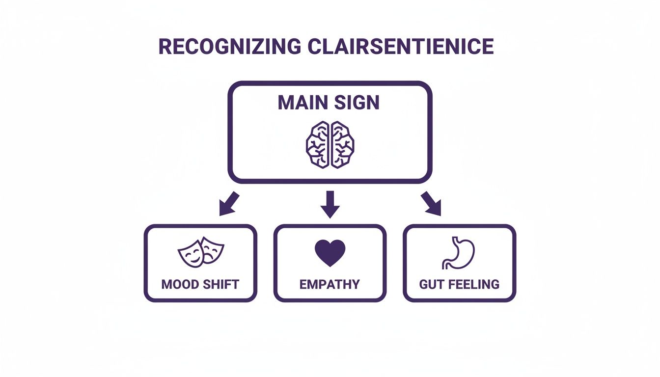 Diagram illustrating clairsentience recognition: main sign (brain) connects to mood shift, empathy, and gut feeling.