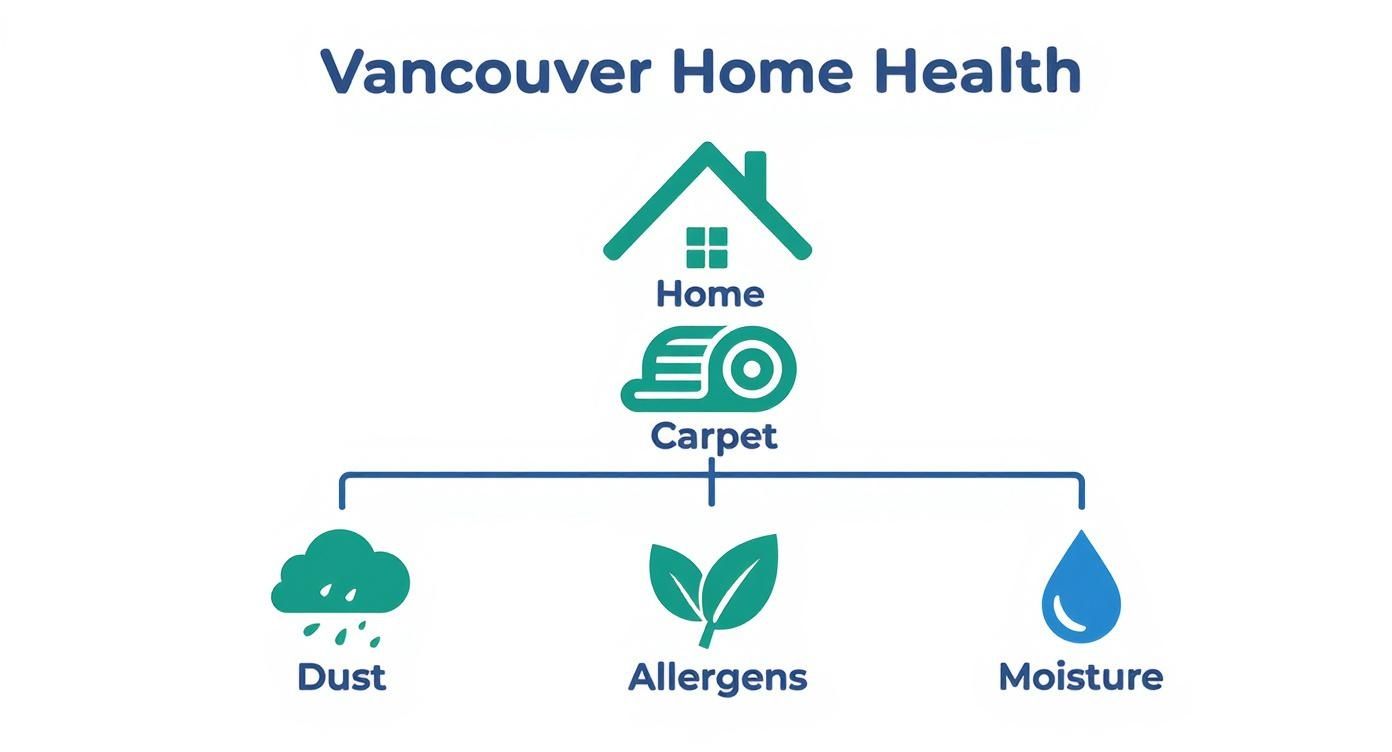 Vancouver Home Health infographic showing carpet cleaning removes dust, allergens, and moisture from homes