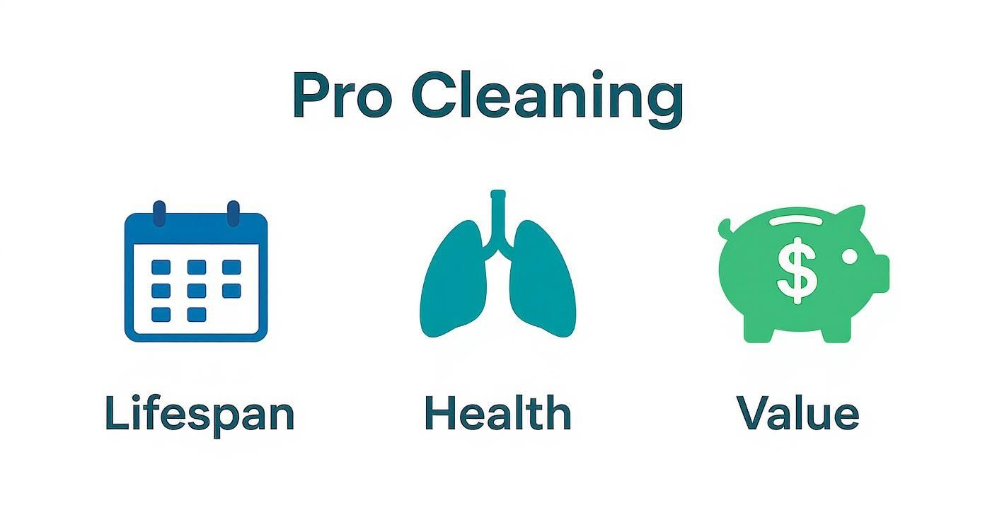 Infographic showcasing the benefits of professional carpet cleaning on lifespan, health, and home value