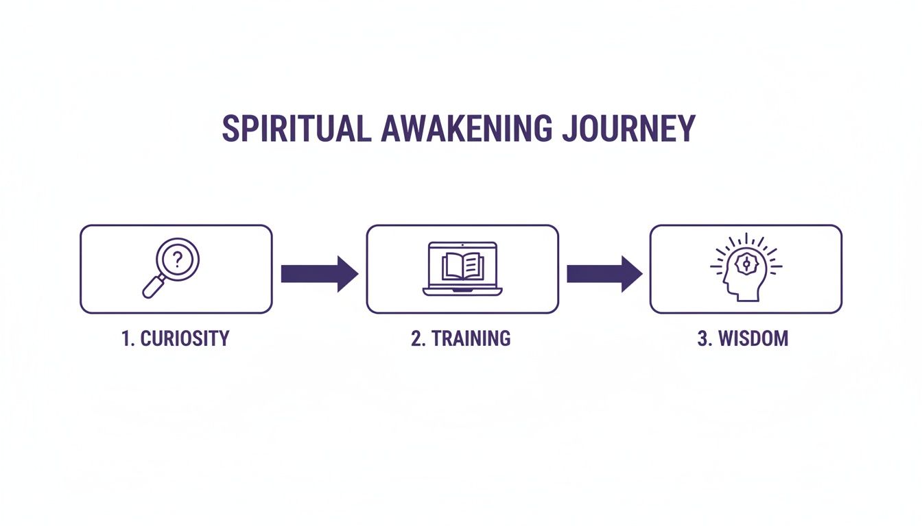 A three-step diagram illustrating the spiritual awakening journey from curiosity, to training, and then wisdom.