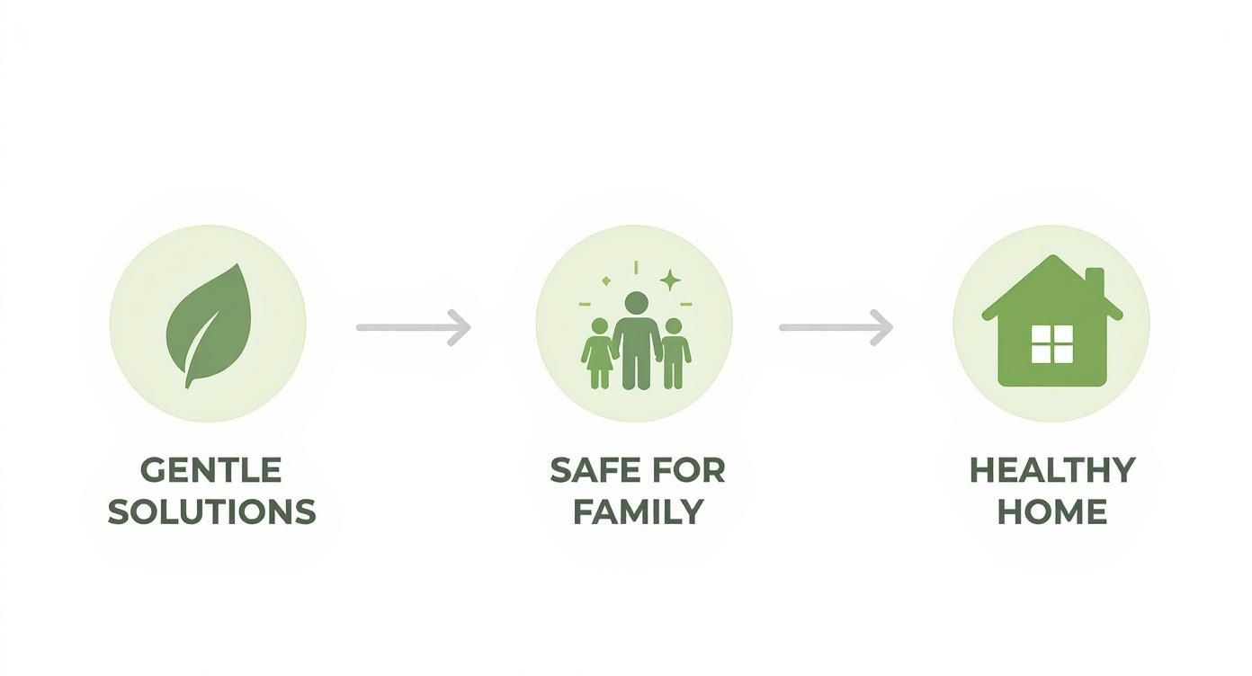 Infographic about upholstery cleaning vancouver