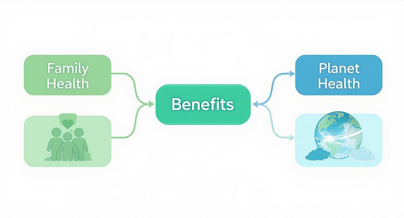 Infographic about green carpet cleaners