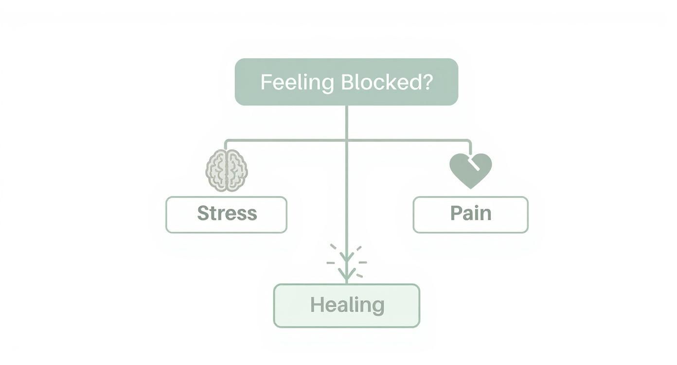 An infographic decision tree helps guide individuals on their healing journey, starting with the question "Feeling Blocked?" and branching to "Stress" or "Pain," ultimately leading to "Healing."