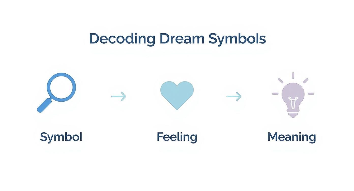 Infographic about what does my dream mean