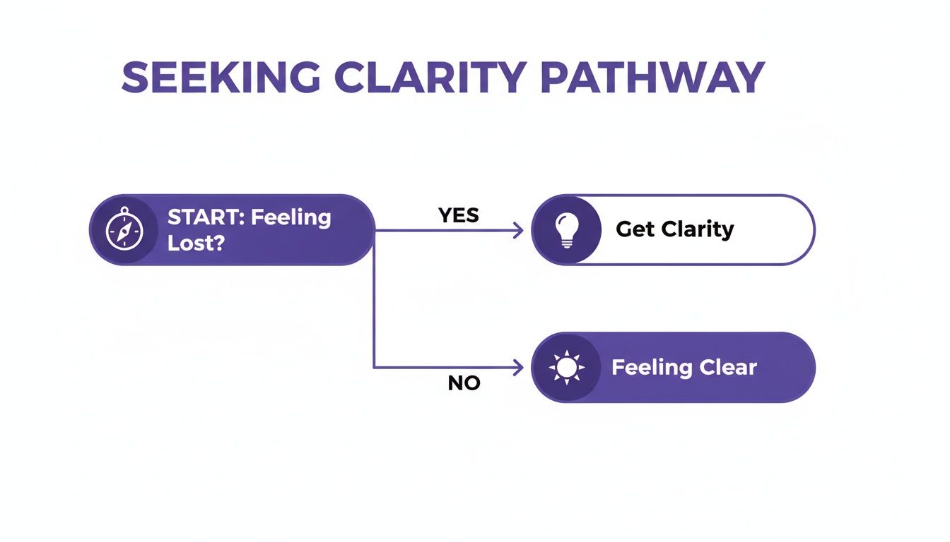 A flowchart titled 'Seeking Clarity Pathway' illustrating steps from feeling lost to getting clarity or feeling clear.
